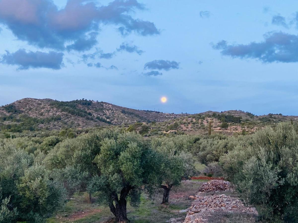 Paraiso Bell Tent Tortosa Exteriér fotografie