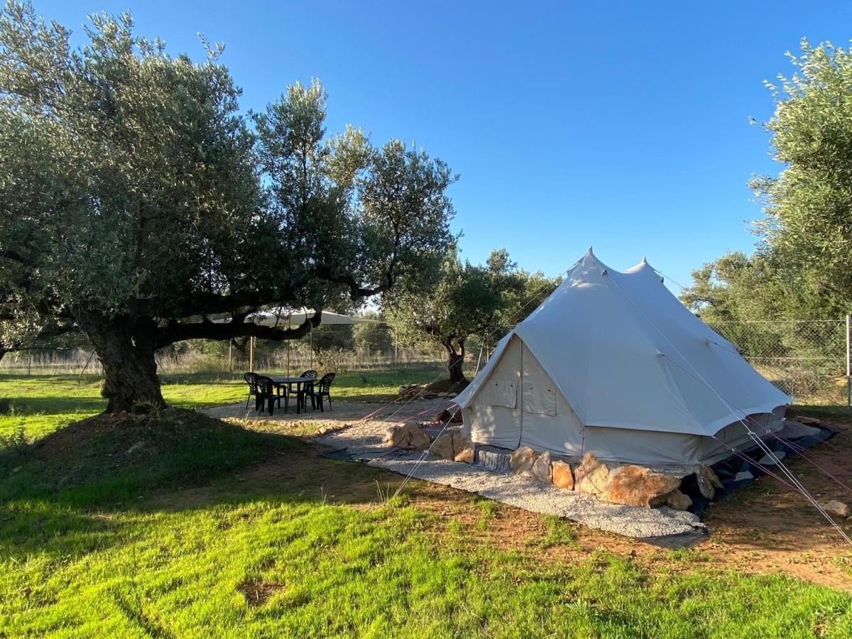 Paraiso Bell Tent Tortosa Exteriér fotografie