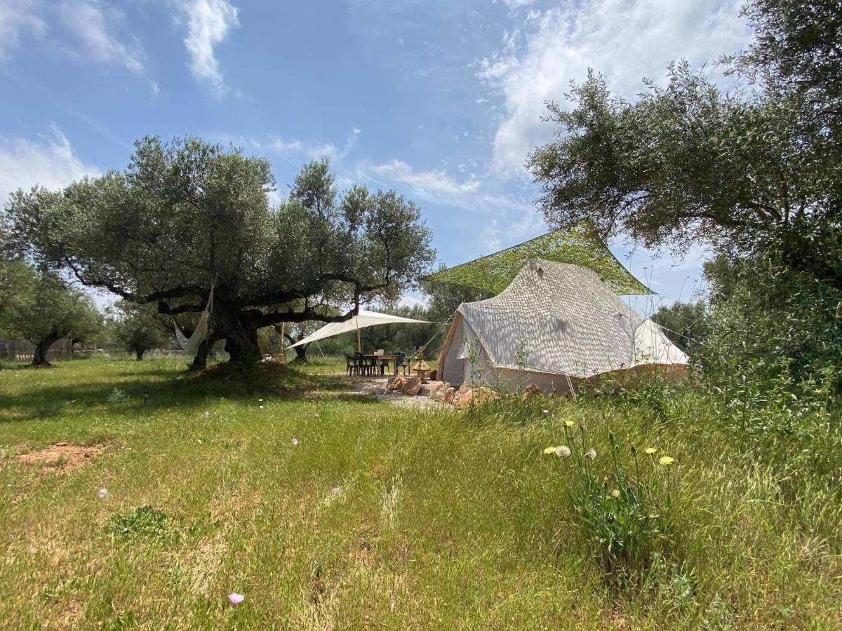 Paraiso Bell Tent Tortosa Exteriér fotografie
